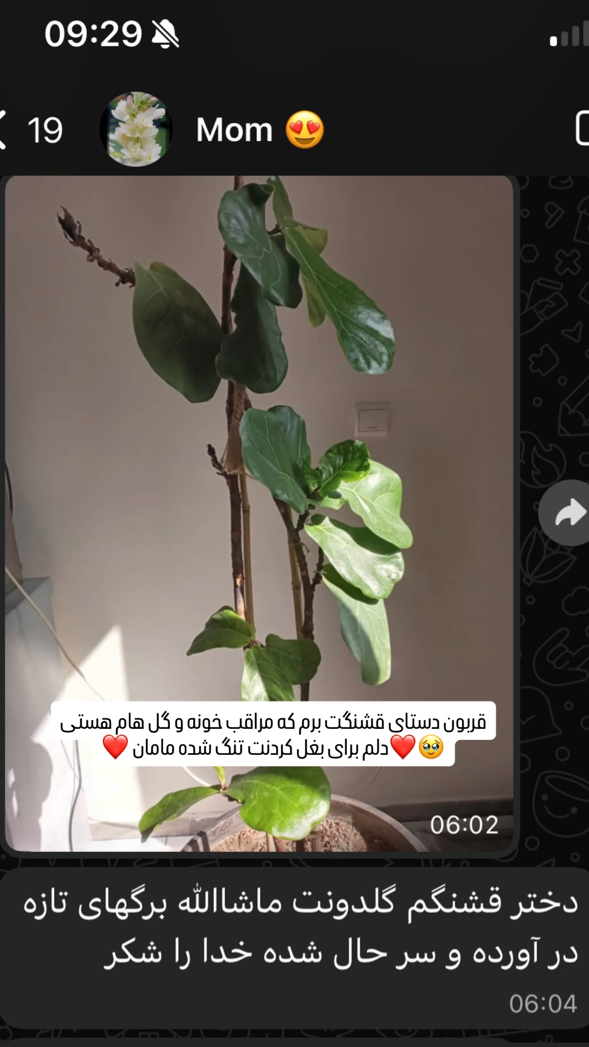  جدید ترین استوری اینستاگرام سیما رامین نیا