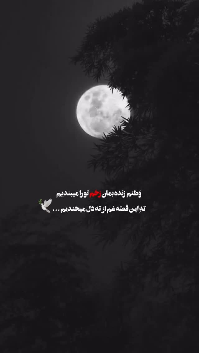  جدید ترین استوری اینستاگرام سیما علیپور