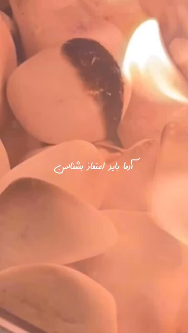  جدید ترین استوری اینستاگرام سیما تقی پور