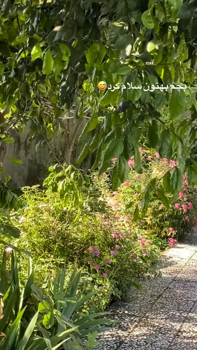  جدید ترین استوری اینستاگرام سیما تقی پور