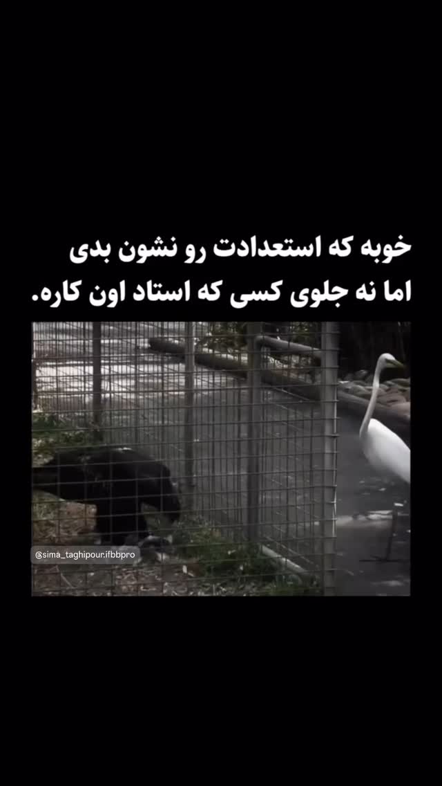  جدید ترین استوری اینستاگرام سیما تقی پور