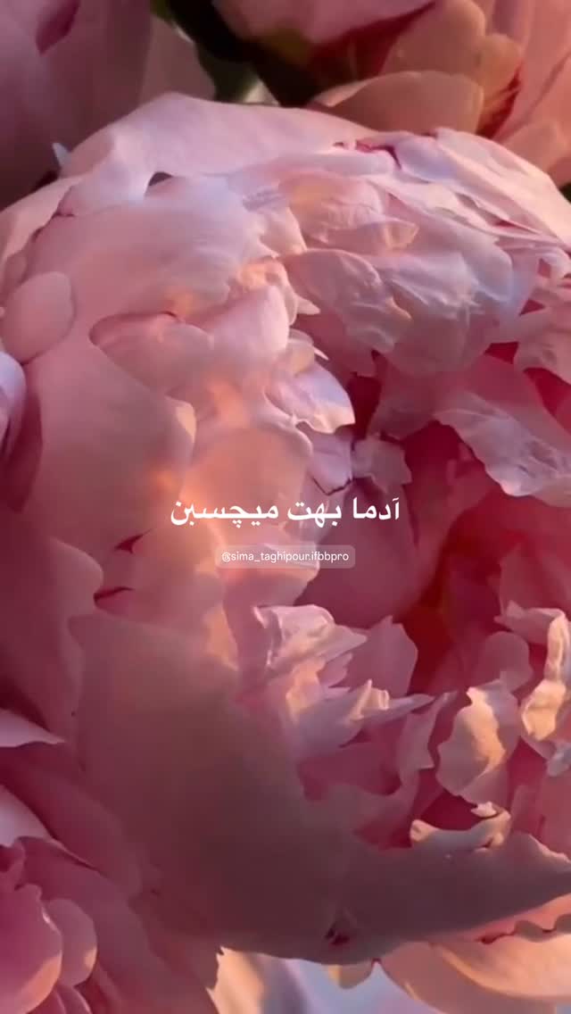 جدید ترین استوری اینستاگرام سیما تقی پور