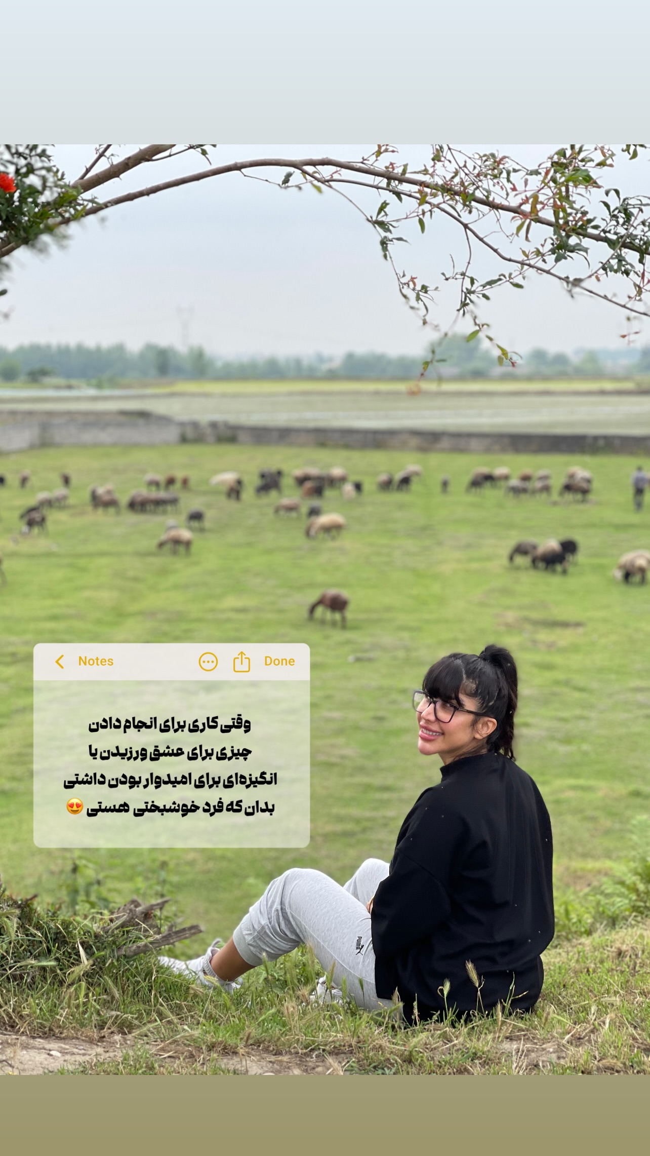  جدید ترین استوری اینستاگرام سیما تقی پور