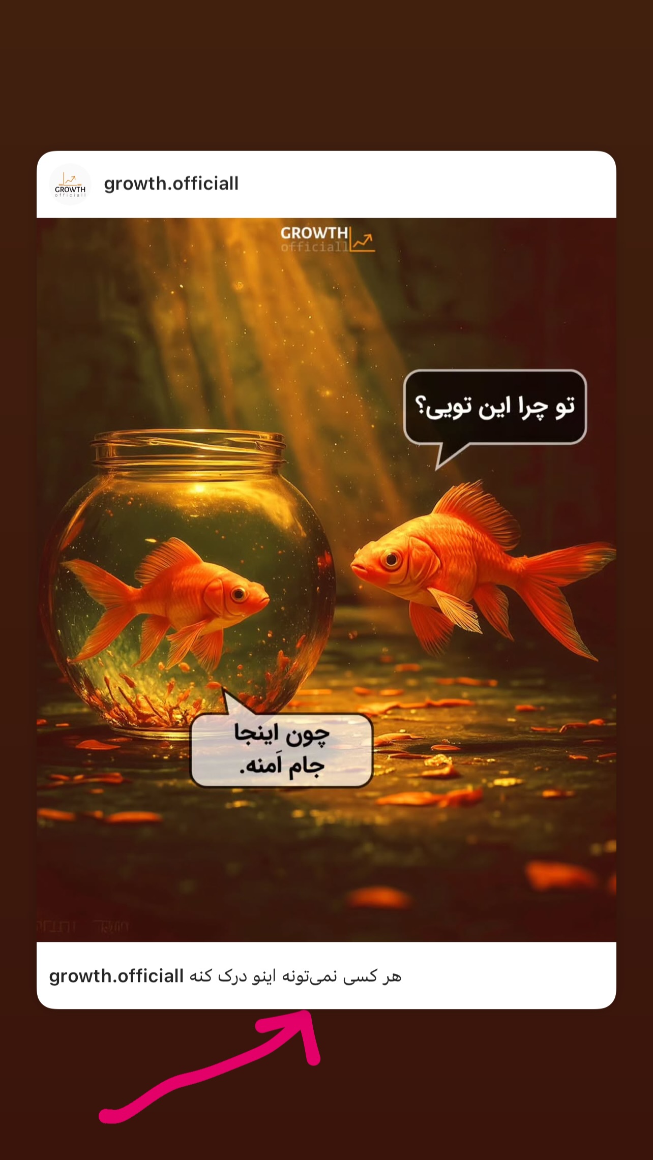  جدید ترین استوری اینستاگرام سیما تقی پور