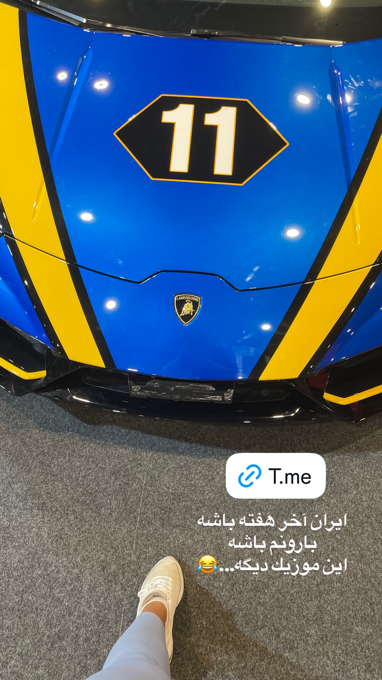  جدید ترین استوری اینستاگرام سیما تقی پور