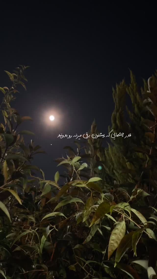  جدید ترین استوری اینستاگرام سیما تقی پور