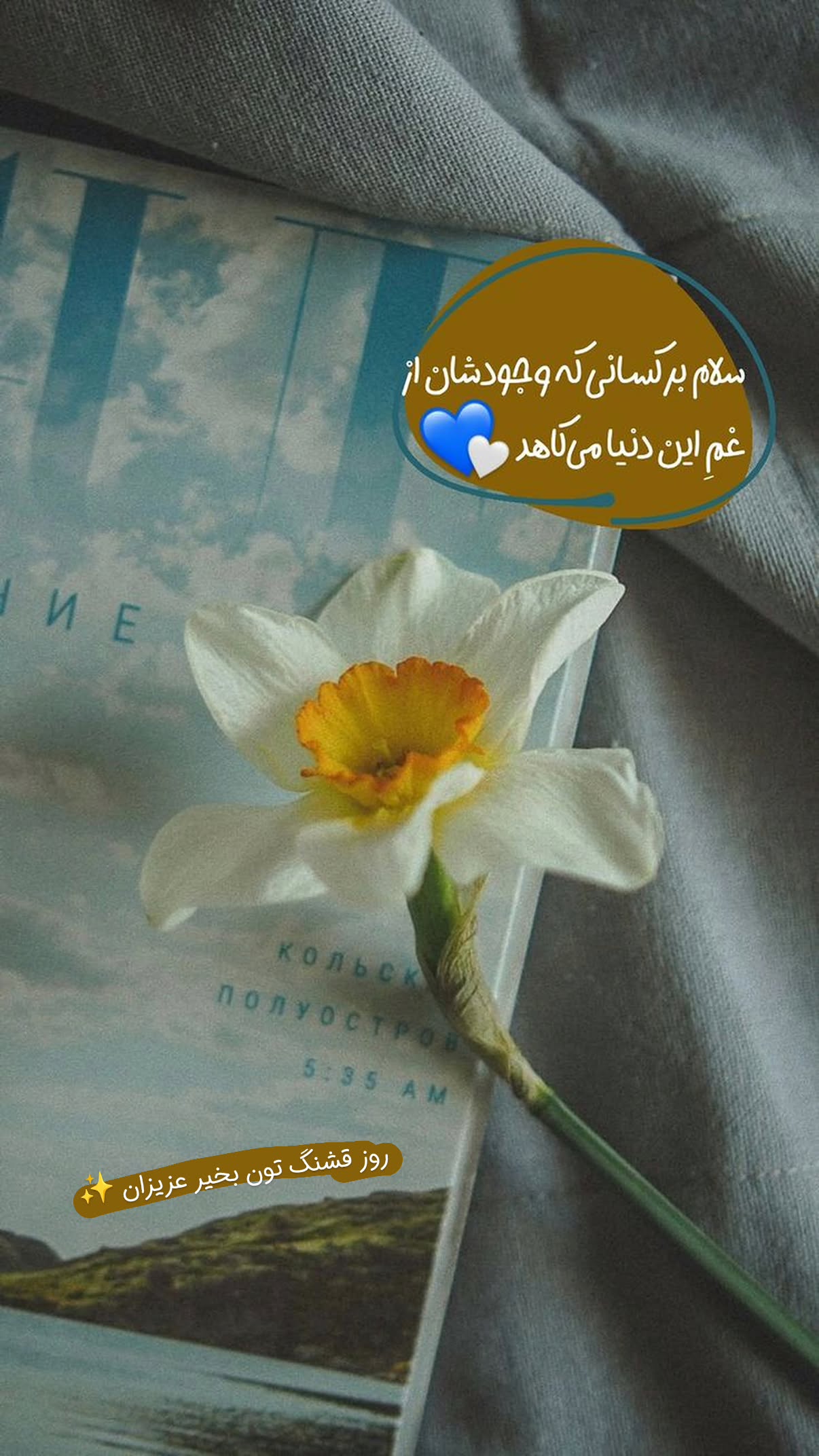  جدید ترین استوری اینستاگرام سیمین روان