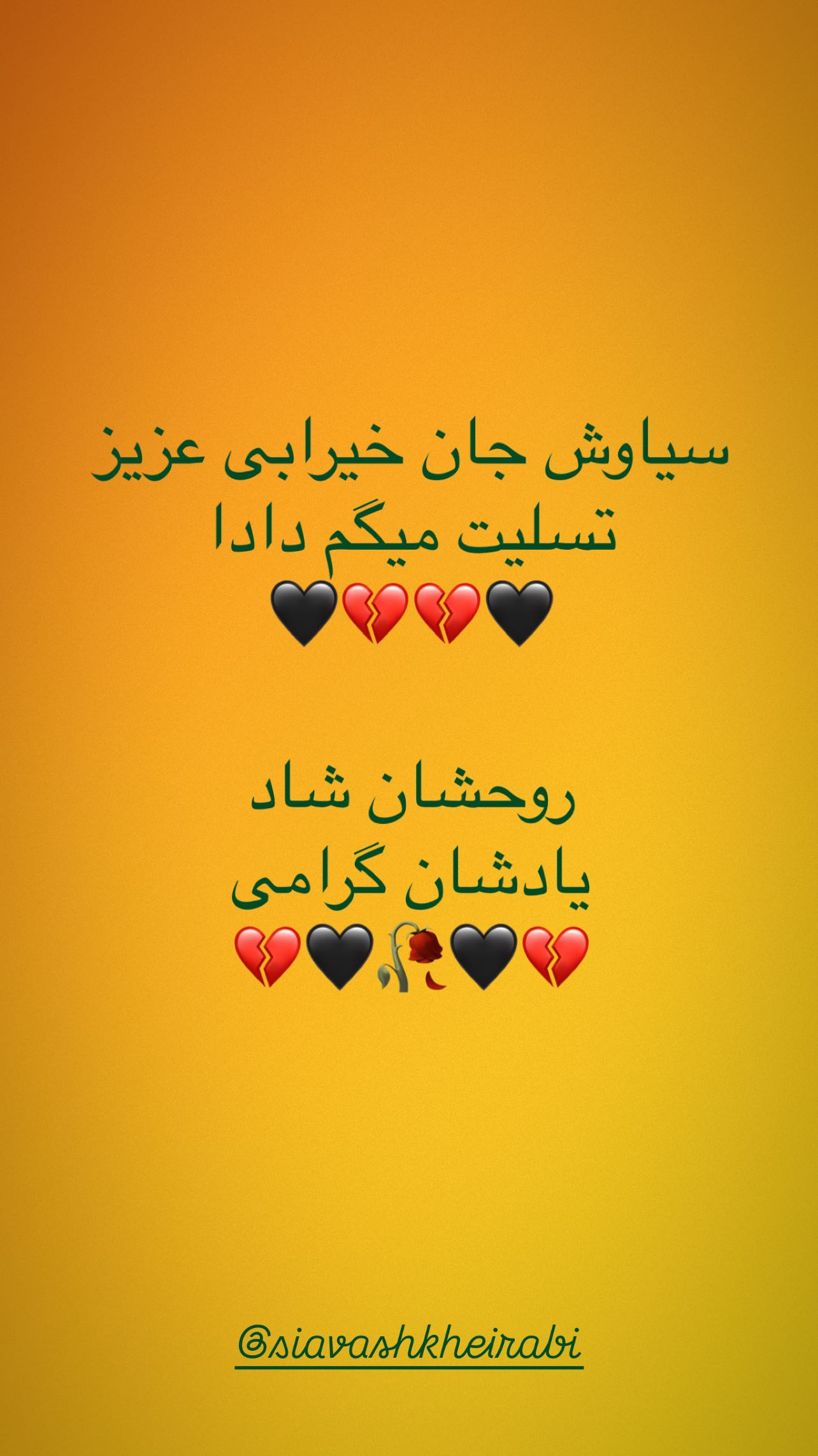  جدید ترین استوری اینستاگرام مجید صالحی