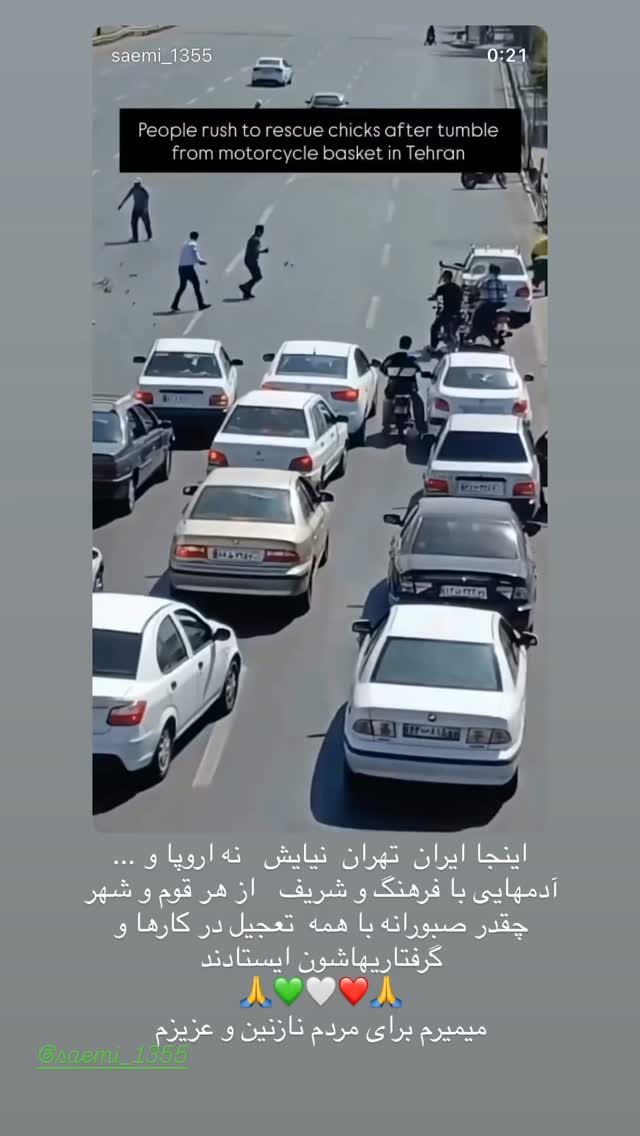  جدید ترین استوری اینستاگرام مجید صالحی
