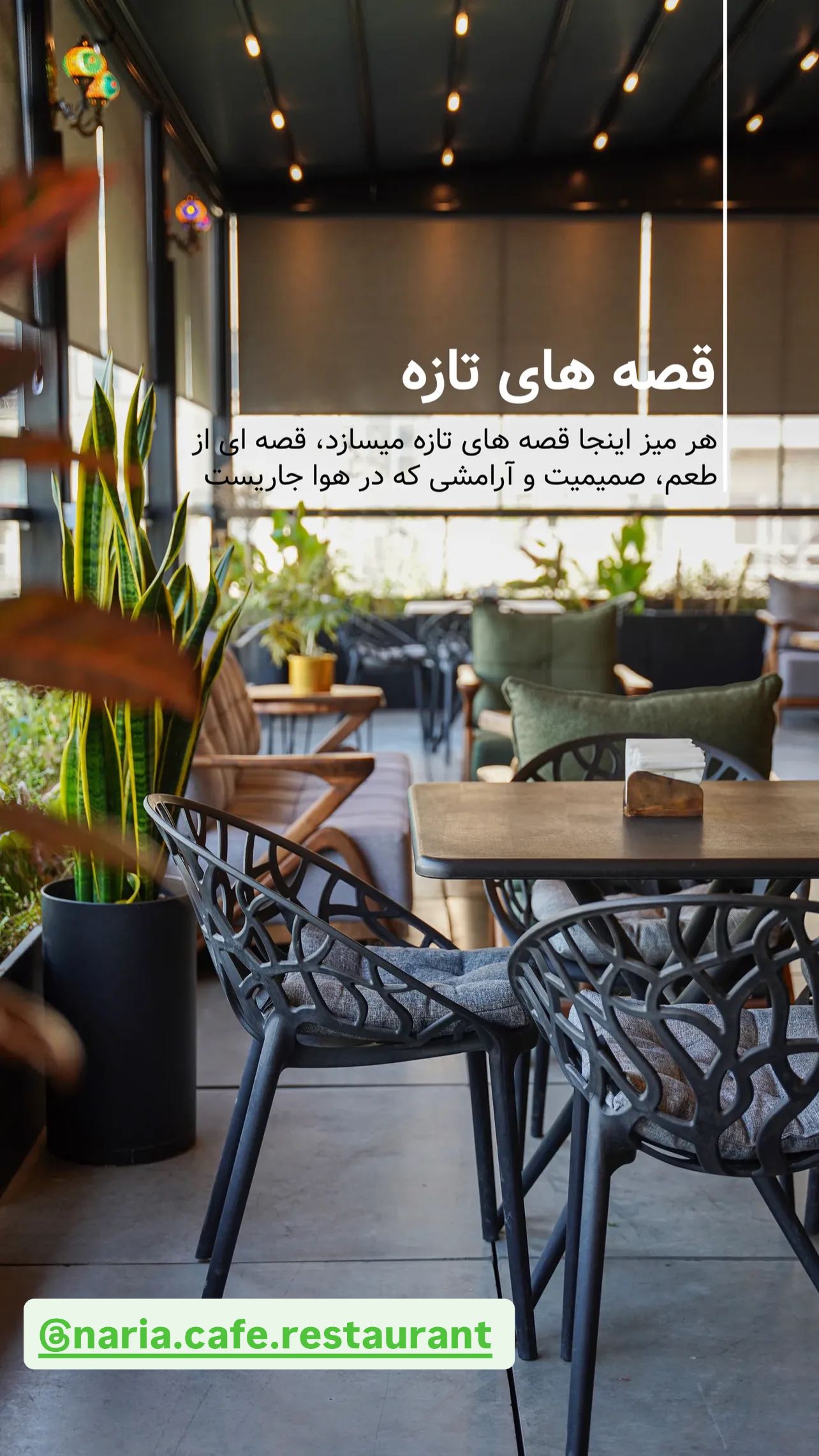  جدید ترین استوری اینستاگرام مجید صالحی