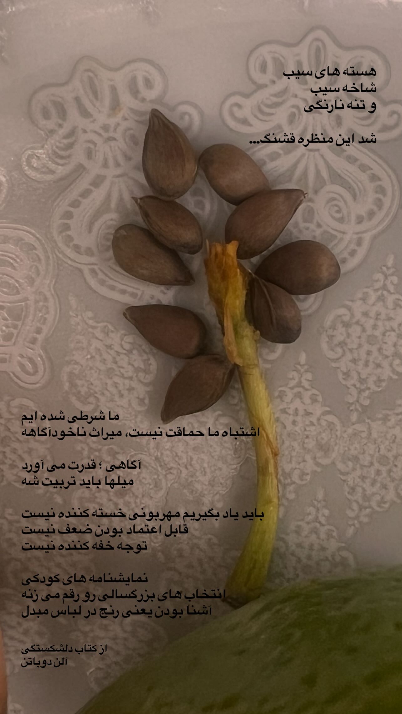  جدید ترین استوری اینستاگرام سميه كاظم بيكى