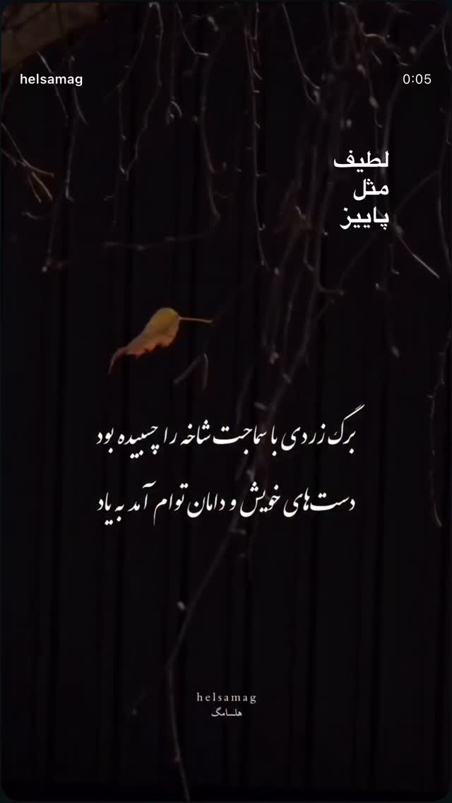  جدید ترین استوری اینستاگرام سميه كاظم بيكى