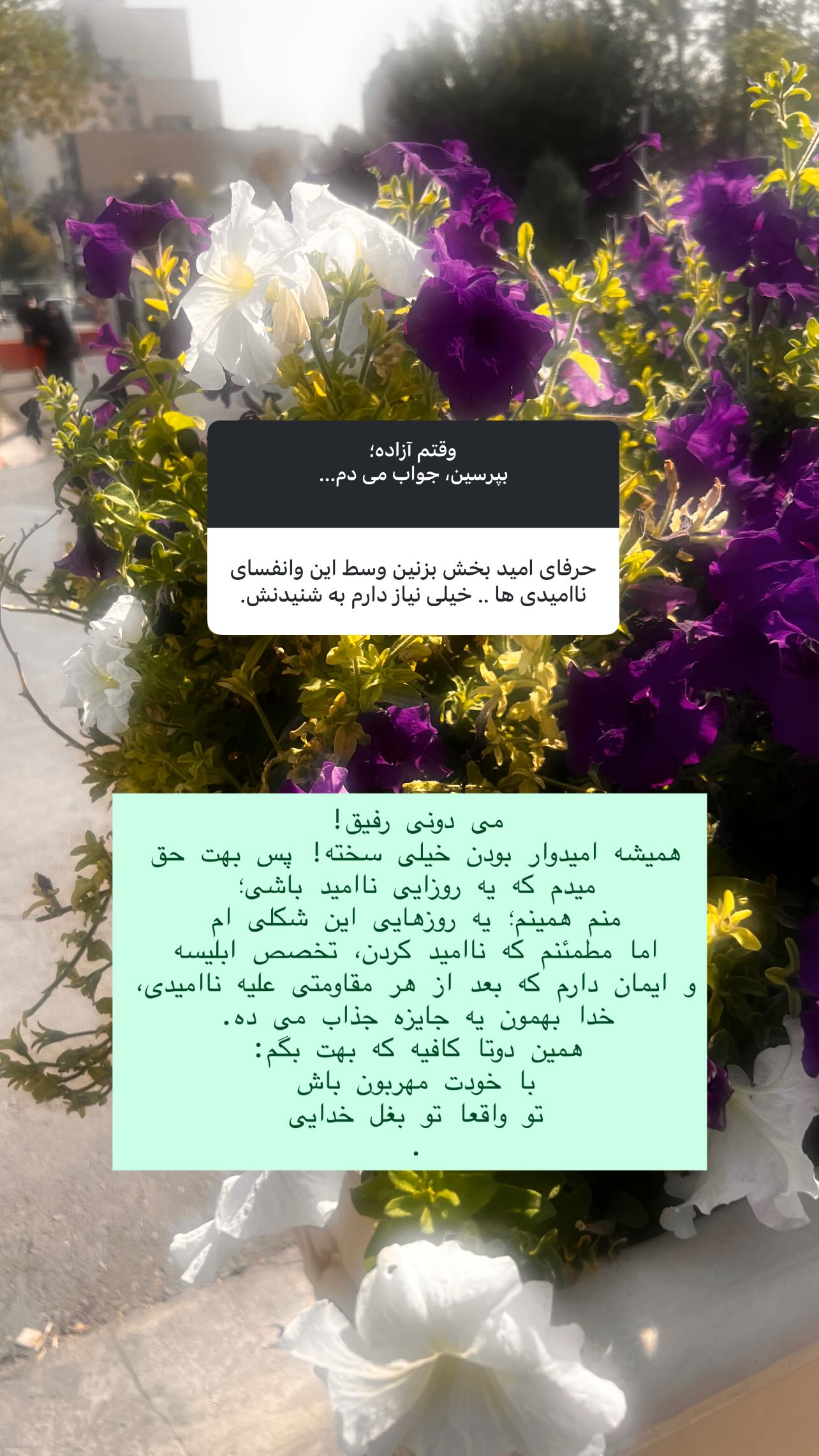  جدید ترین استوری اینستاگرام سميه كاظم بيكى