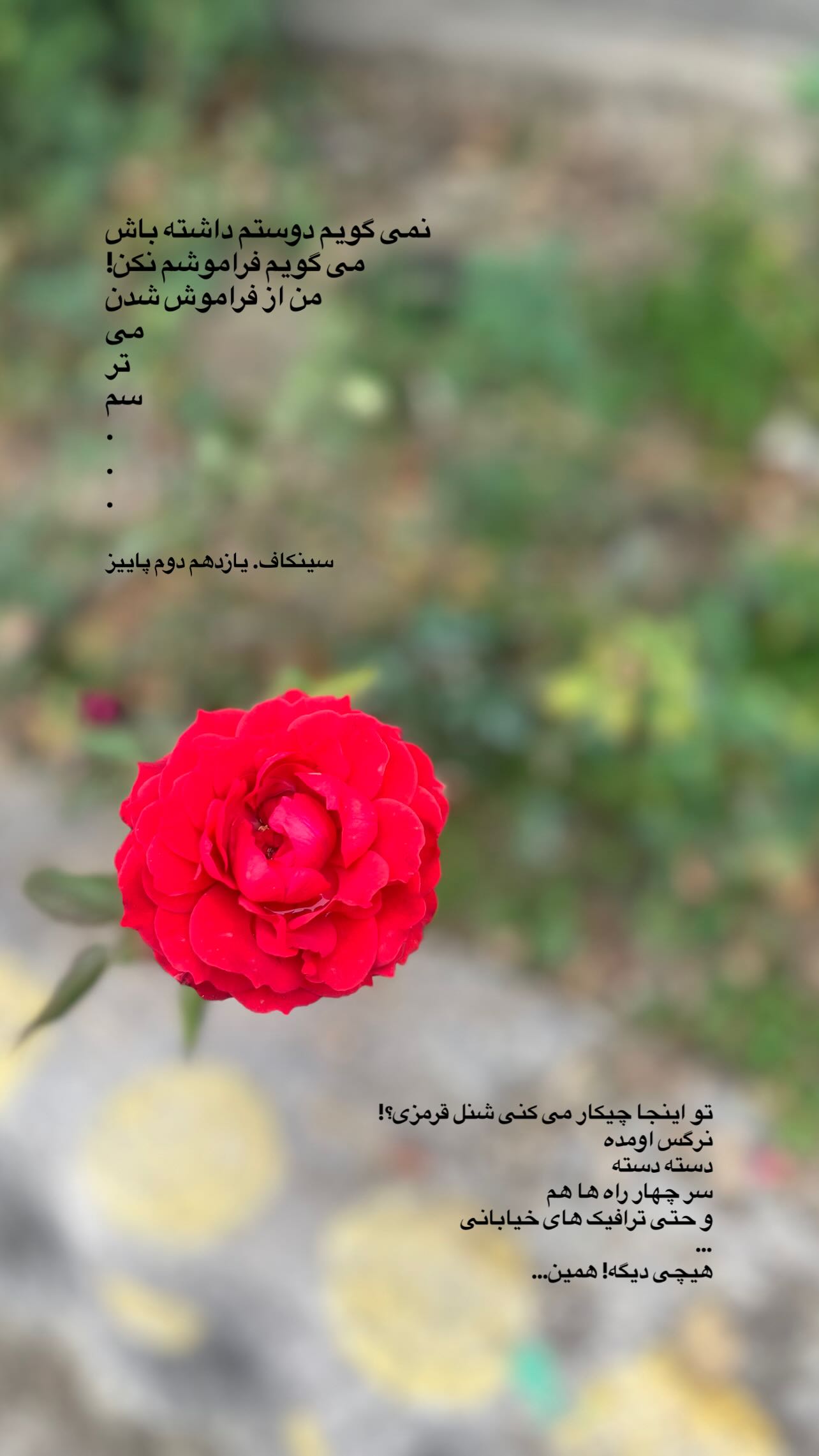  جدید ترین استوری اینستاگرام سميه كاظم بيكى