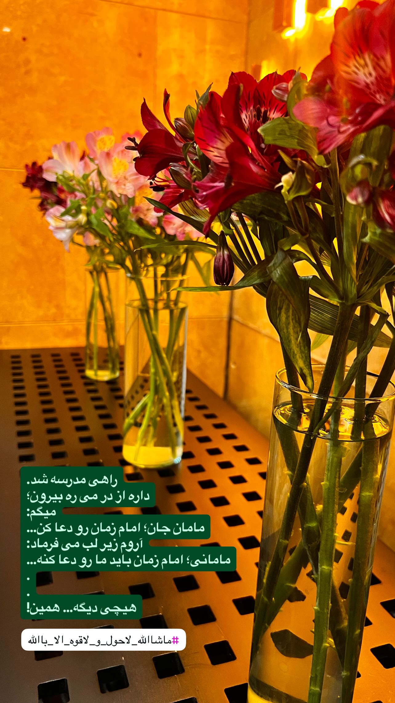  جدید ترین استوری اینستاگرام سميه كاظم بيكى
