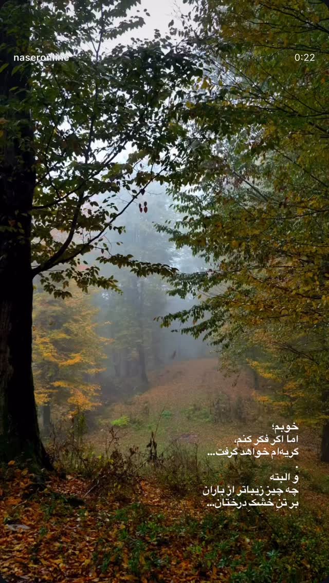  جدید ترین استوری اینستاگرام سميه كاظم بيكى