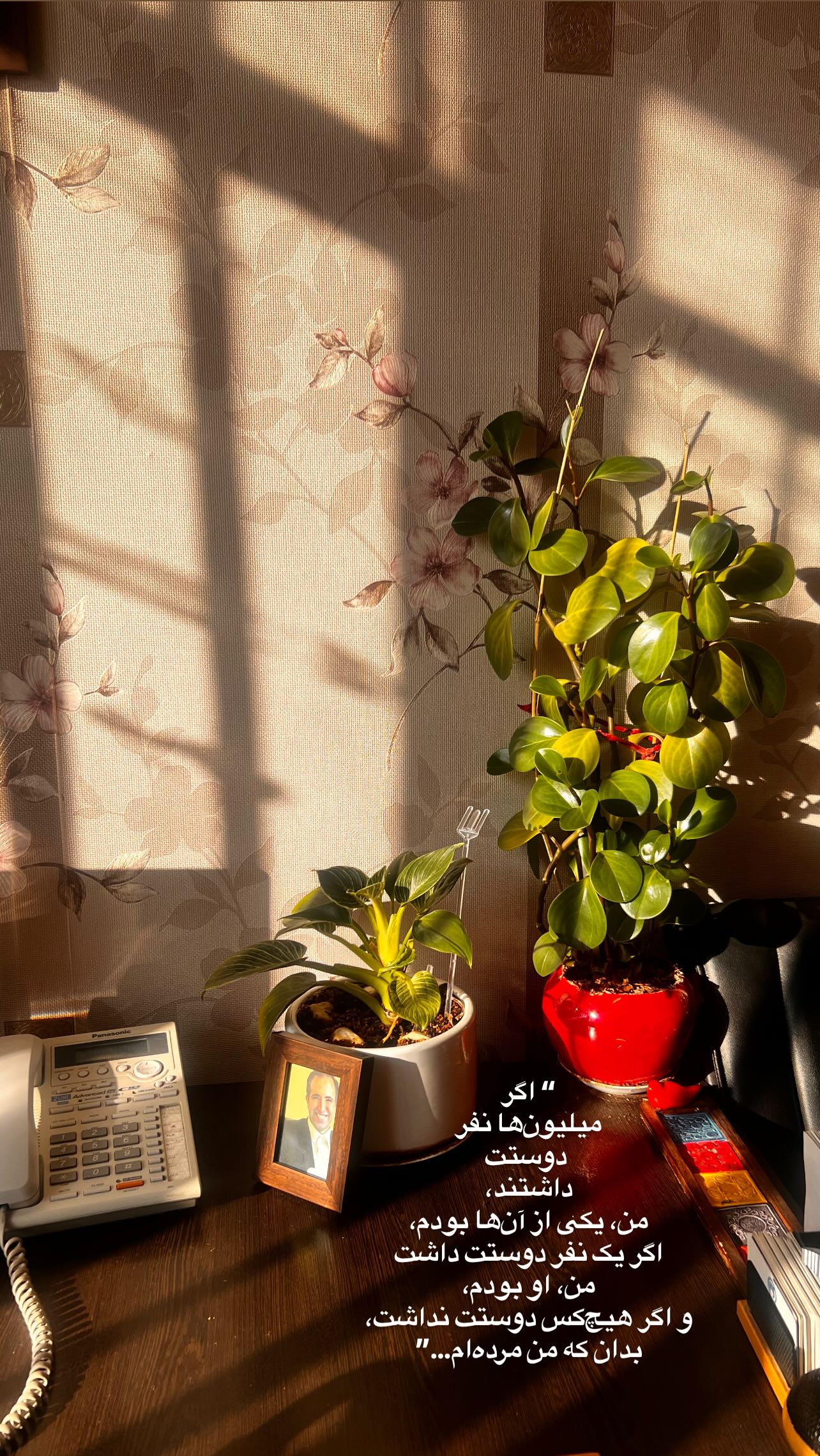  جدید ترین استوری اینستاگرام سميه كاظم بيكى