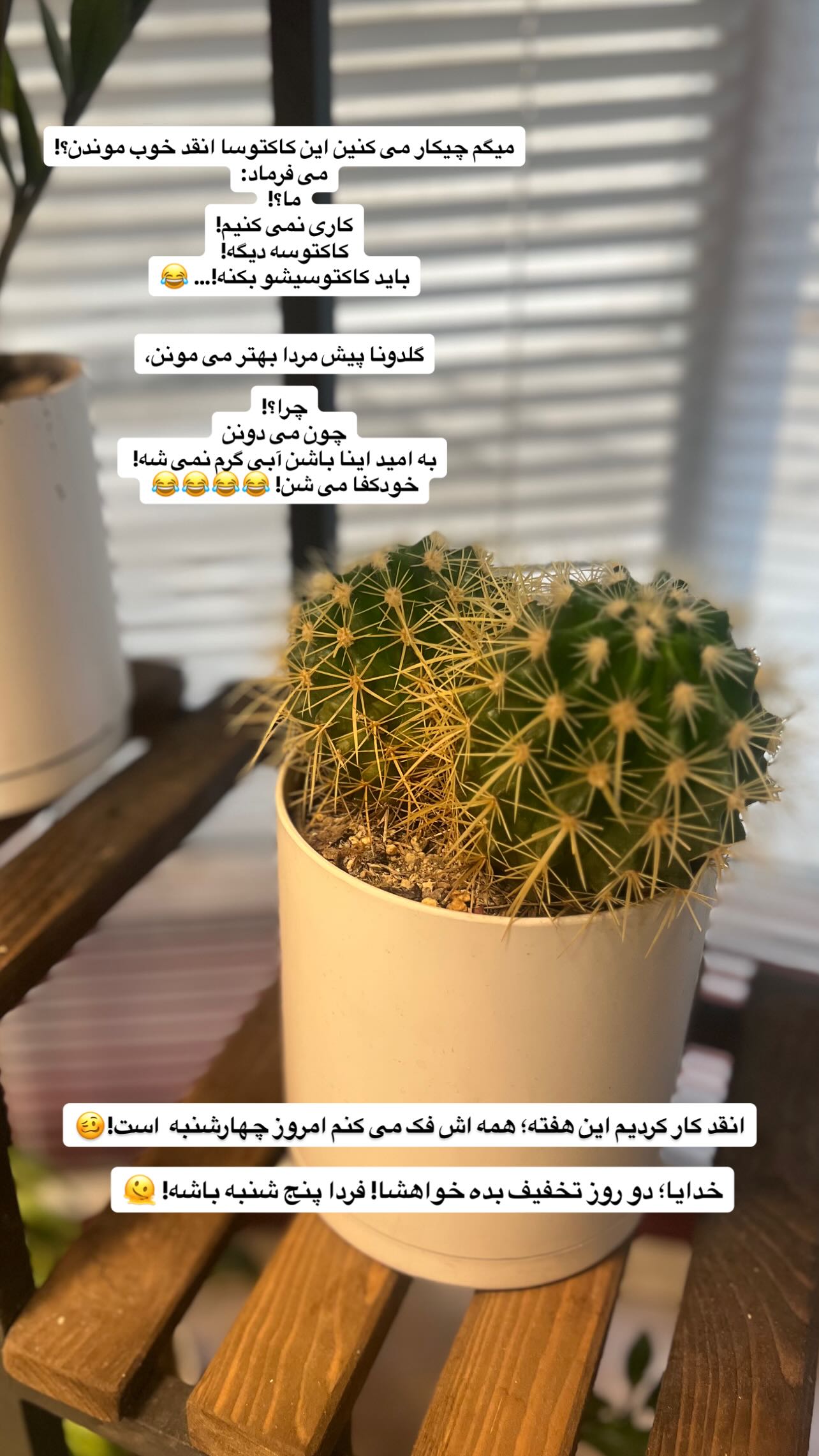  جدید ترین استوری اینستاگرام سميه كاظم بيكى