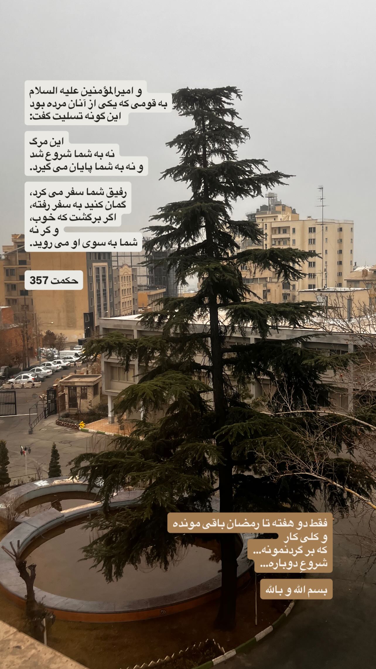  جدید ترین استوری اینستاگرام سميه كاظم بيكى