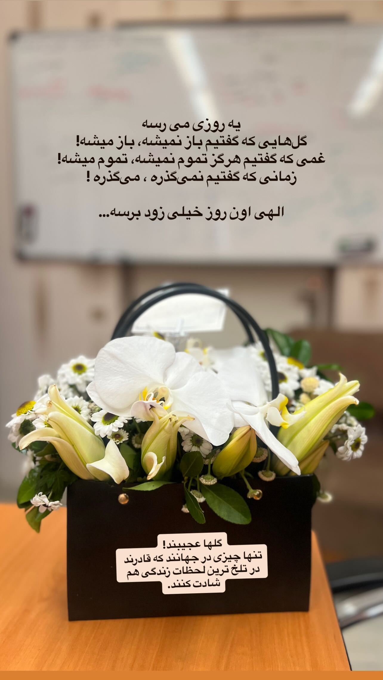  جدید ترین استوری اینستاگرام سميه كاظم بيكى