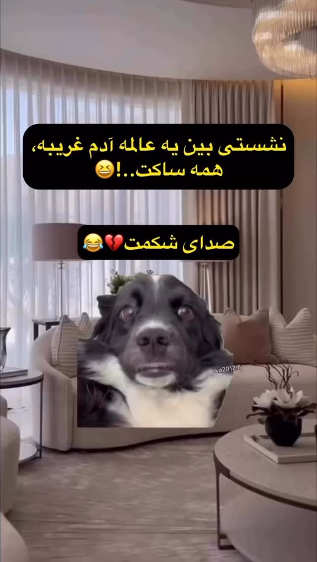  جدید ترین استوری اینستاگرام علمى|عجايب|دانستنيها