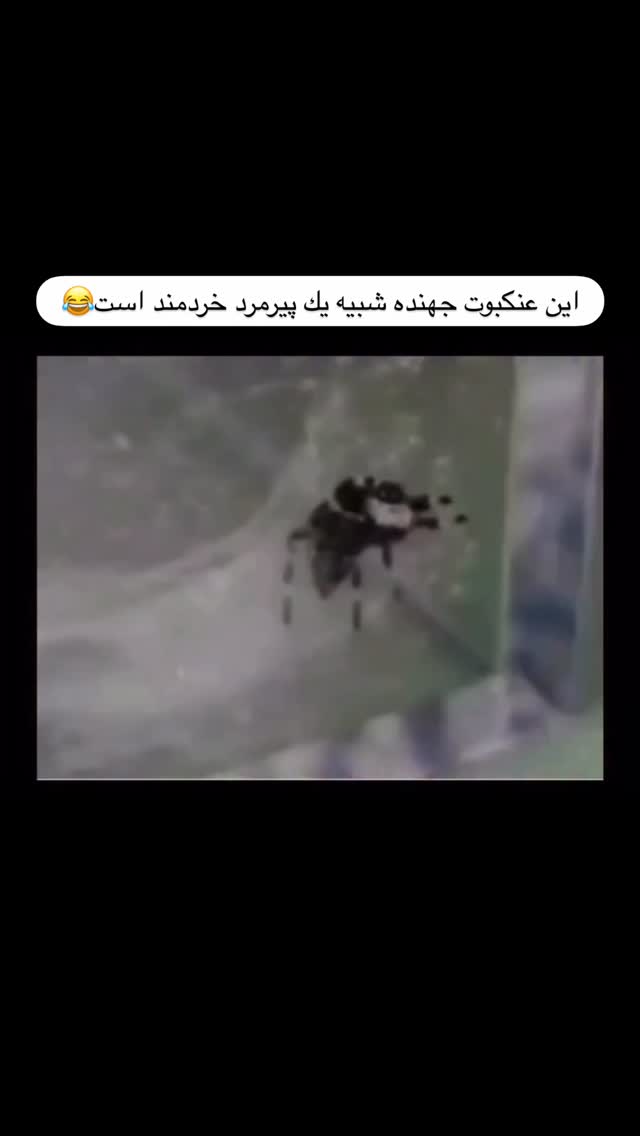  جدید ترین استوری اینستاگرام علمى|عجايب|دانستنيها