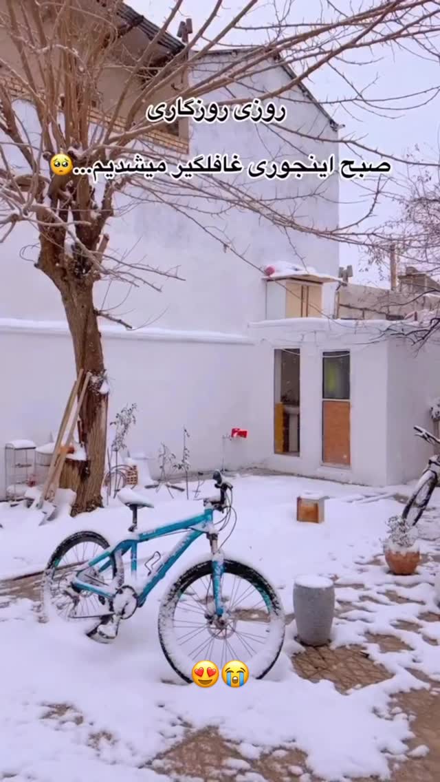  جدید ترین استوری اینستاگرام علمى|عجايب|دانستنيها