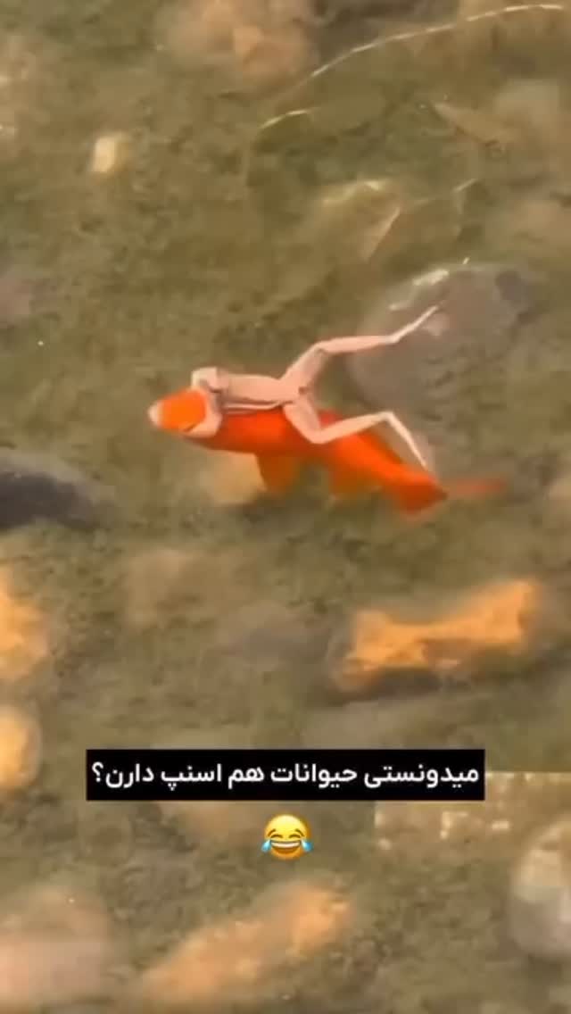  جدید ترین استوری اینستاگرام علمى|عجايب|دانستنيها