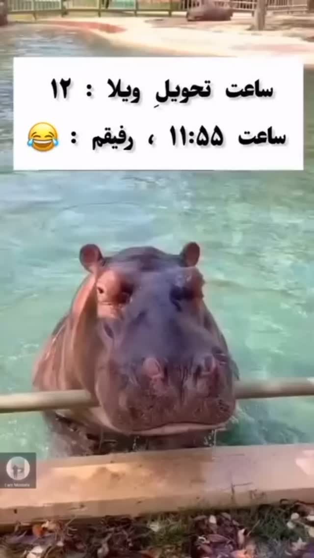  جدید ترین استوری اینستاگرام علمى|عجايب|دانستنيها