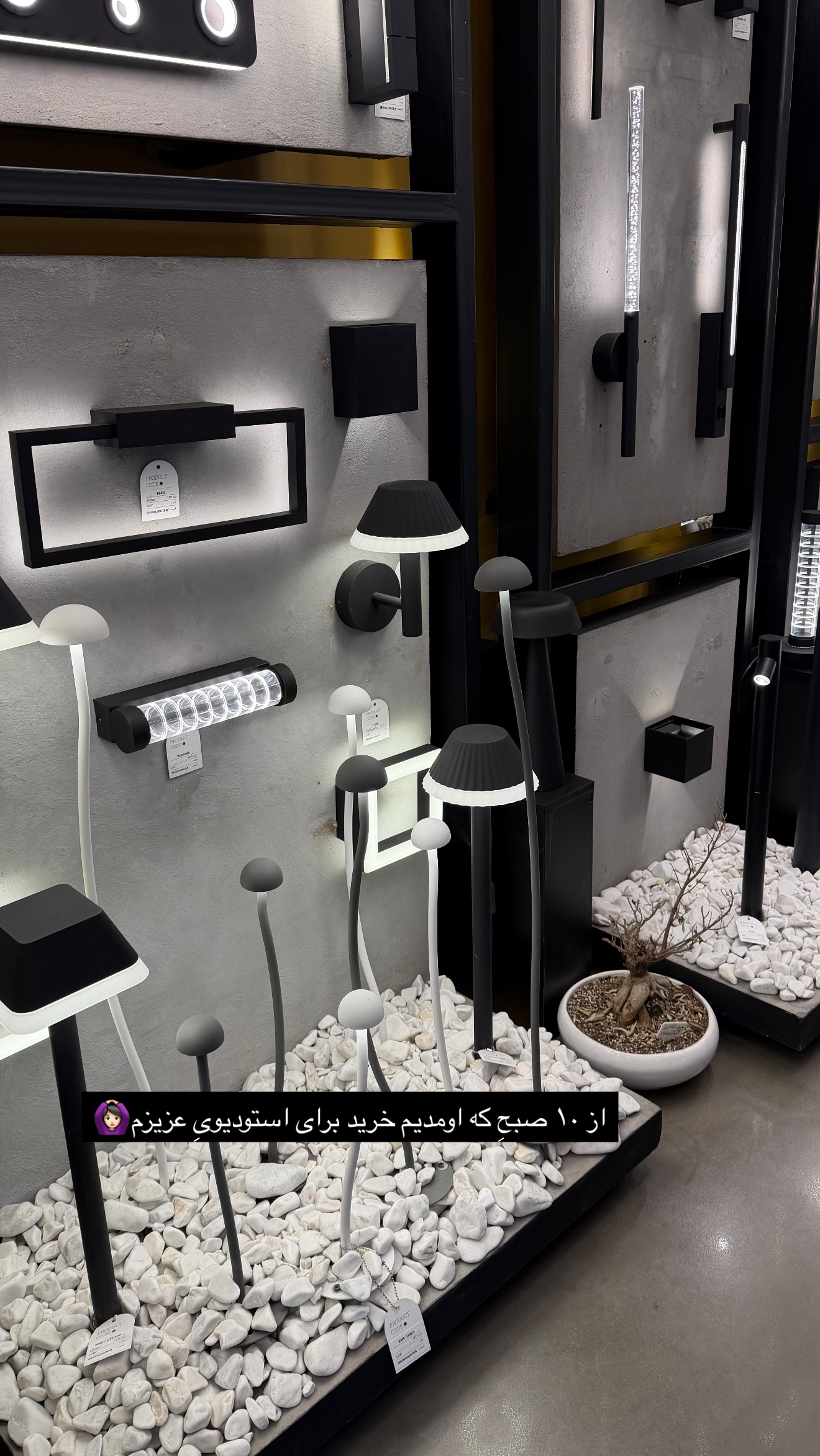  جدید ترین استوری اینستاگرام ثنایی