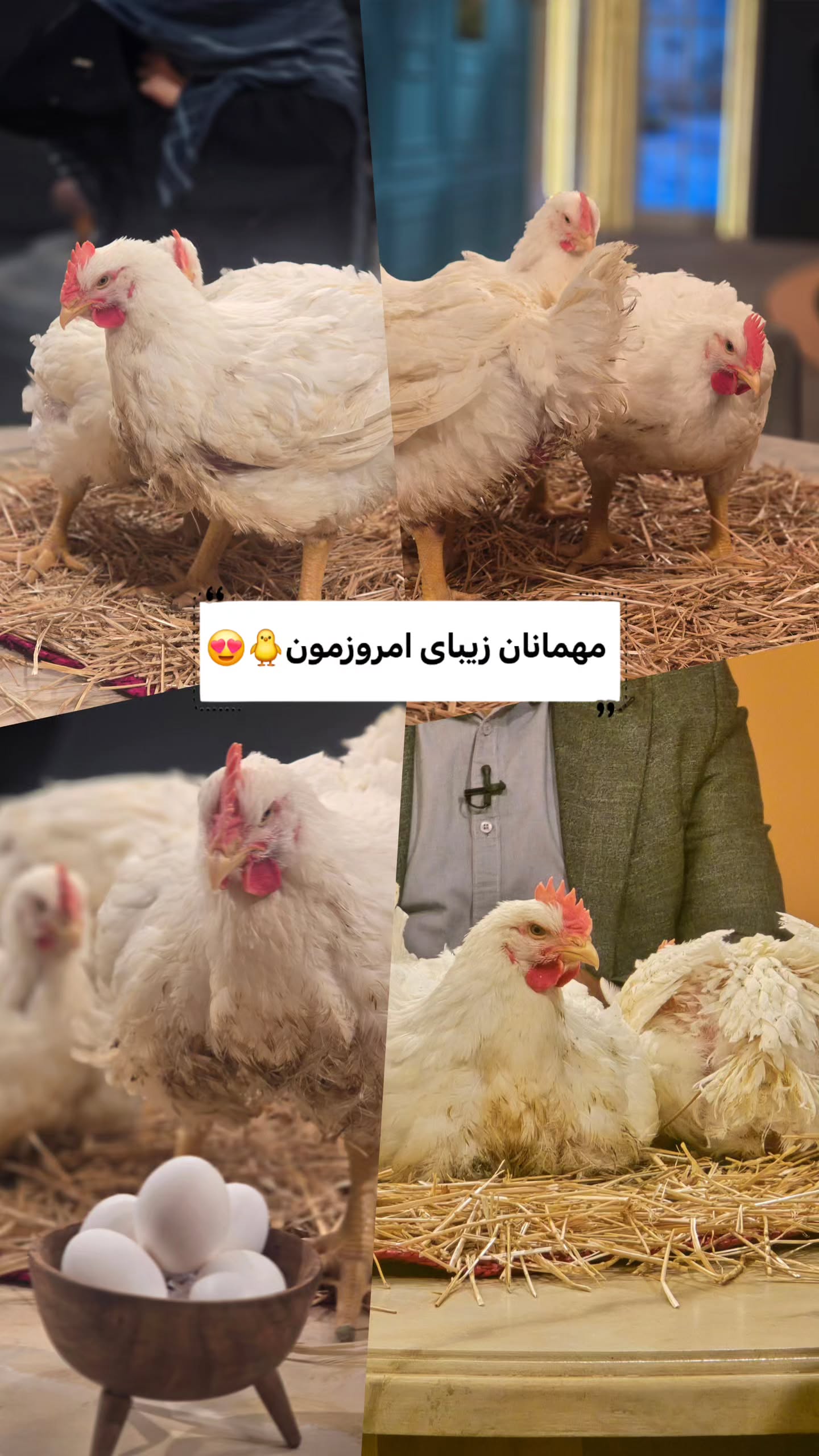 جدید ترین استوری اینستاگرام صبحانه ایرانی