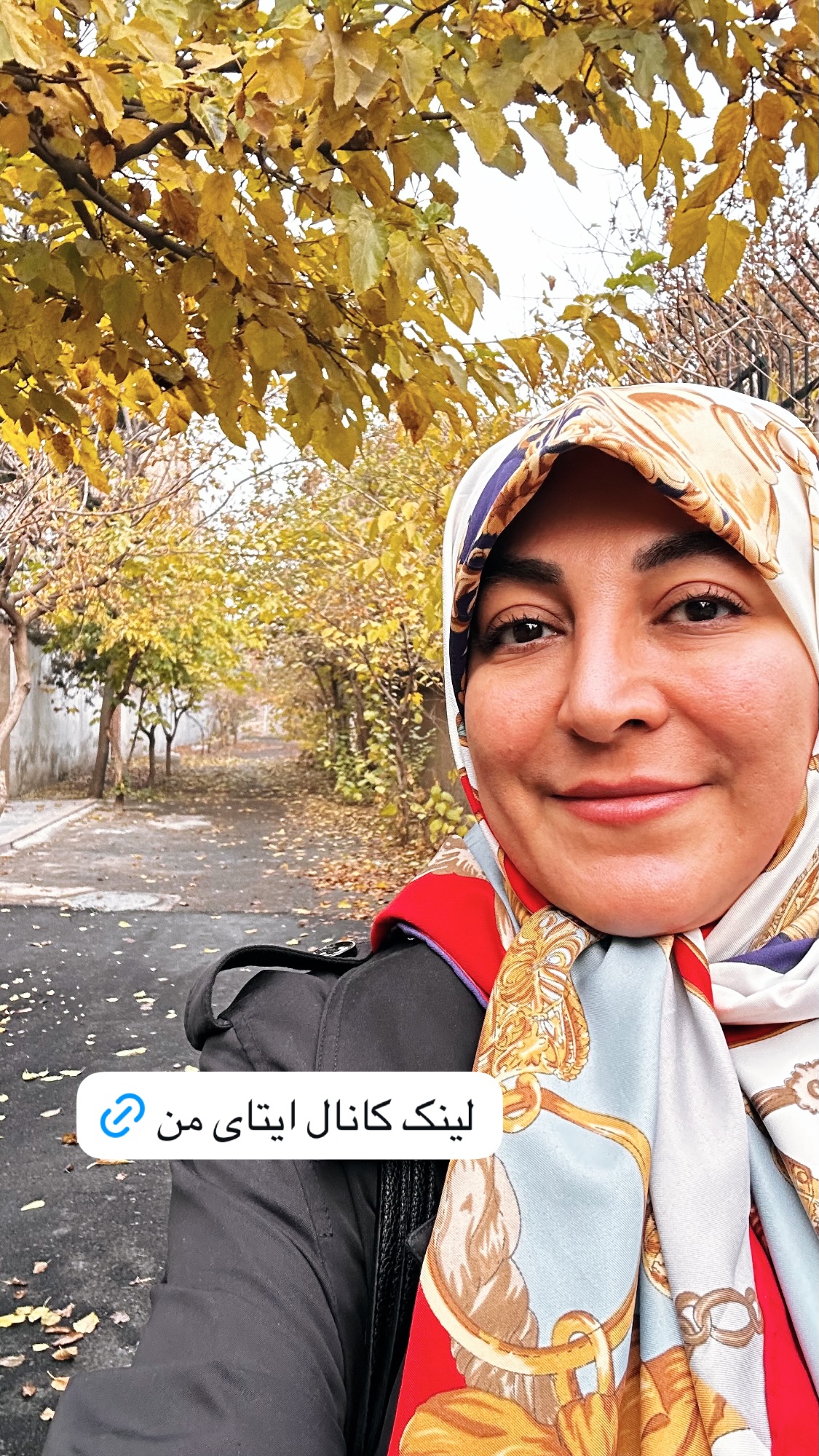  جدید ترین استوری اینستاگرام سمیه بشارتی