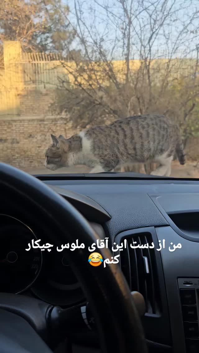  جدید ترین استوری اینستاگرام سوگل معتمد