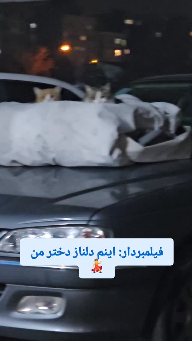  جدید ترین استوری اینستاگرام سوگل معتمد