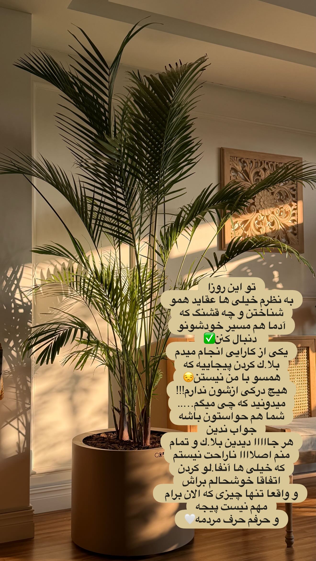  جدید ترین استوری اینستاگرام سوگل میثاقی