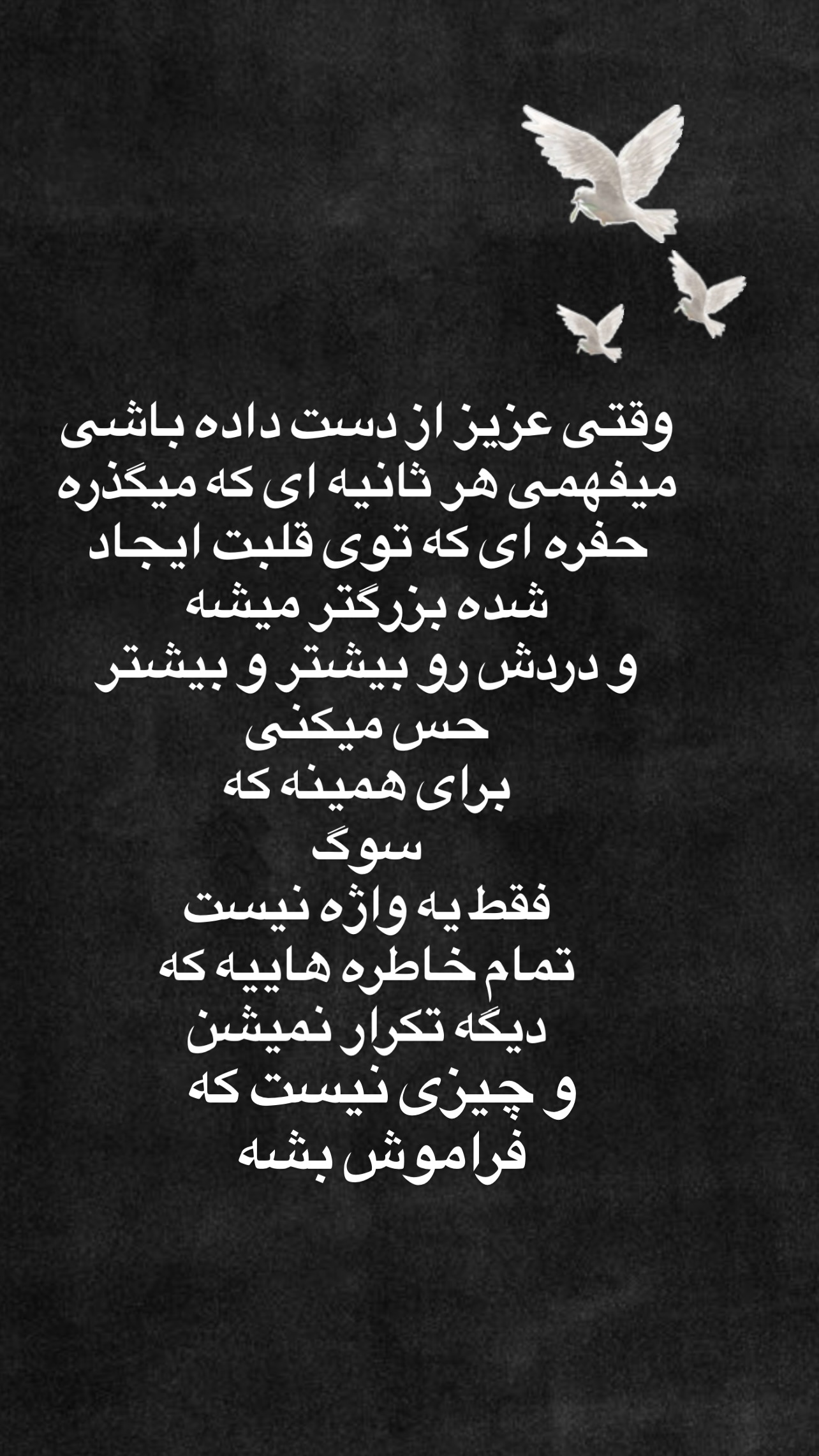  جدید ترین استوری اینستاگرام سوگل میثاقی