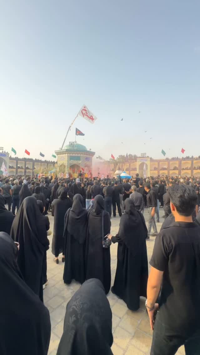  جدید ترین استوری اینستاگرام سهیل میرجلیلی
