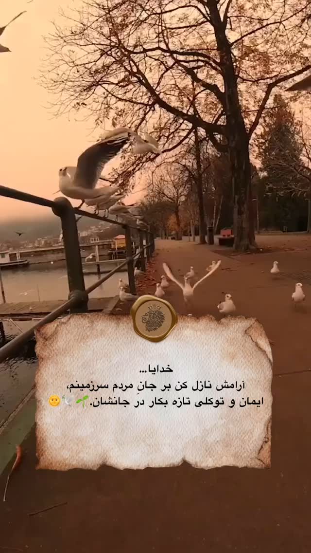  جدید ترین استوری اینستاگرام سهیل سنگرزاده