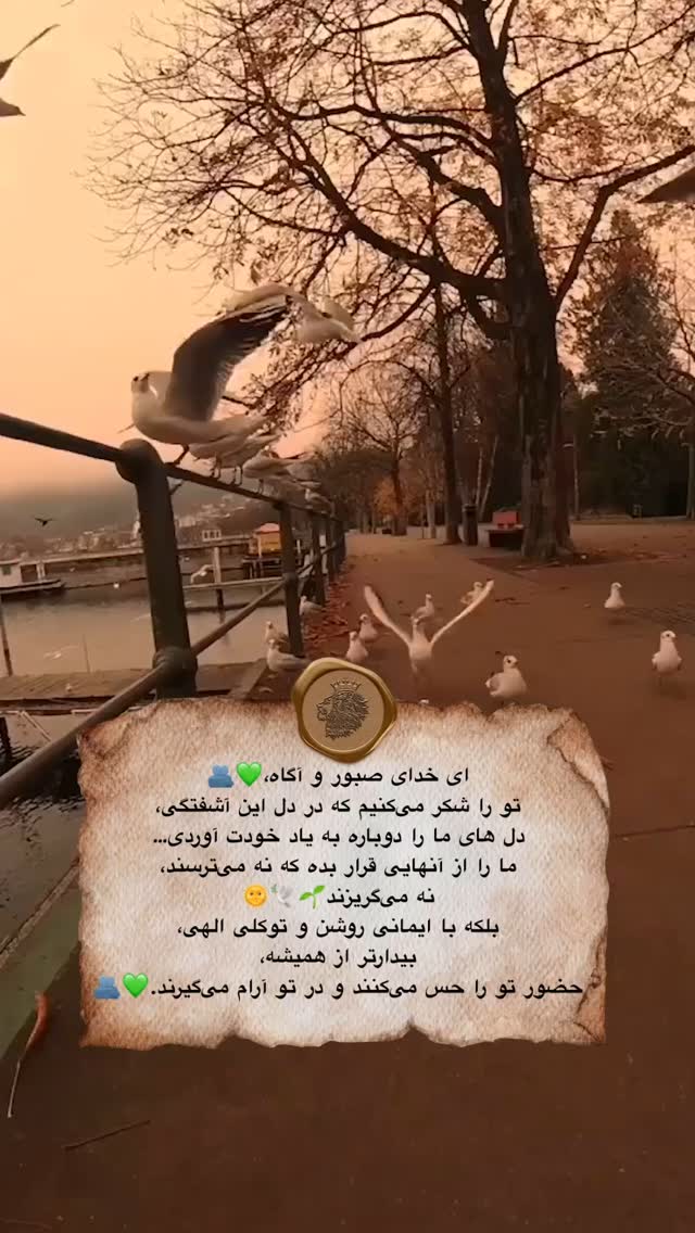  جدید ترین استوری اینستاگرام سهیل سنگرزاده