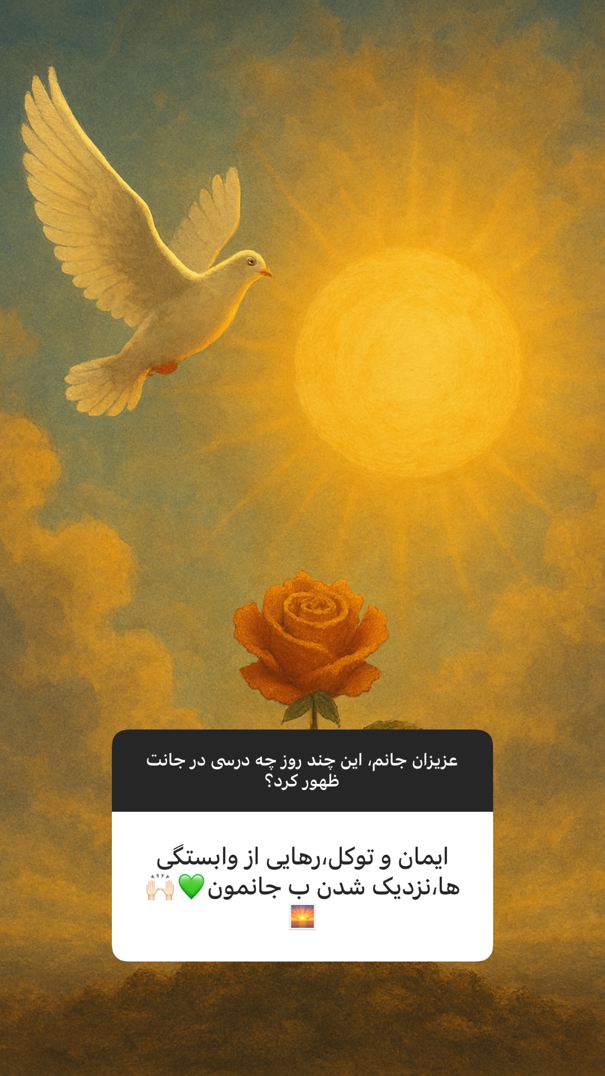  جدید ترین استوری اینستاگرام سهیل سنگرزاده