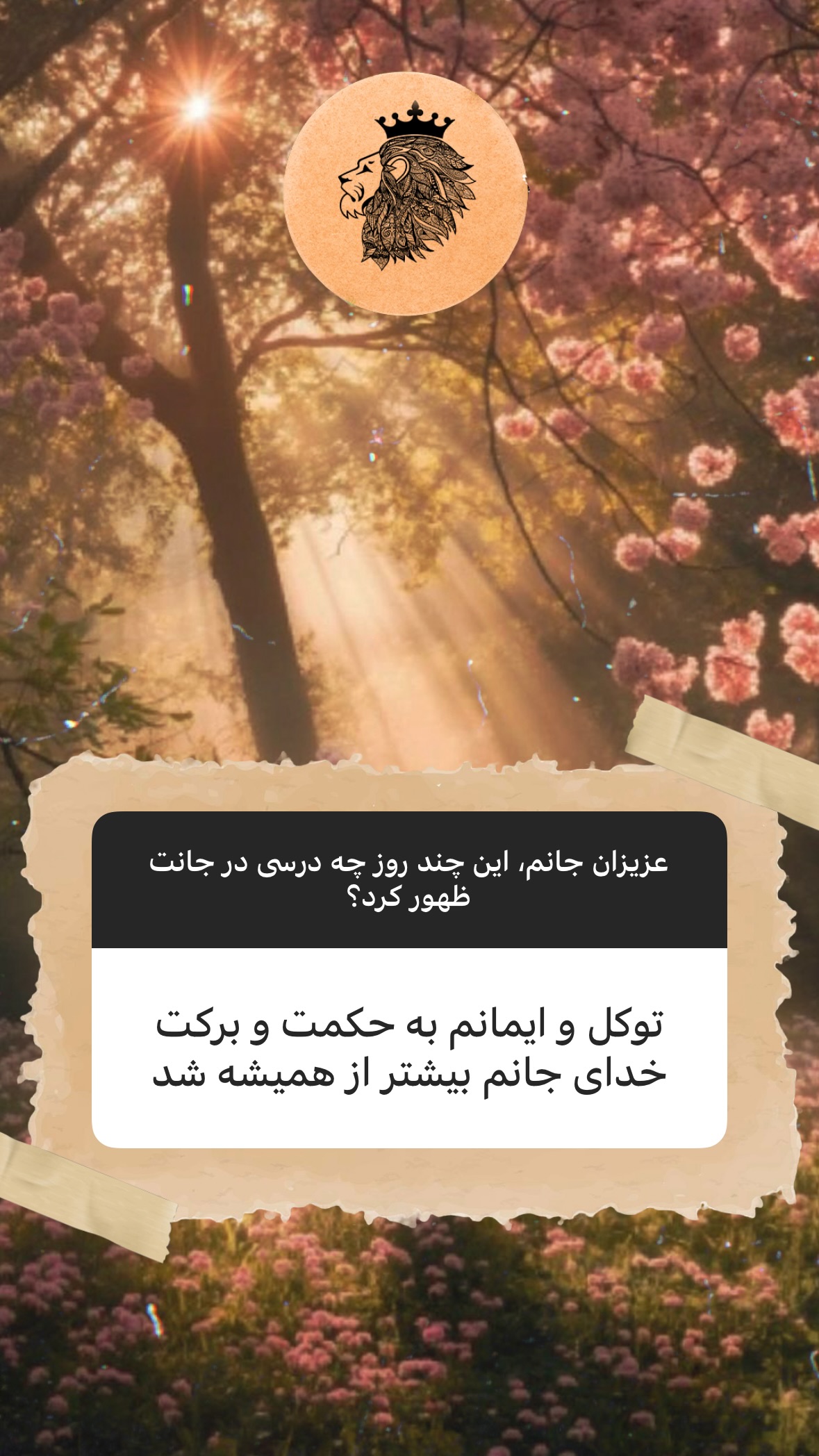  جدید ترین استوری اینستاگرام سهیل سنگرزاده