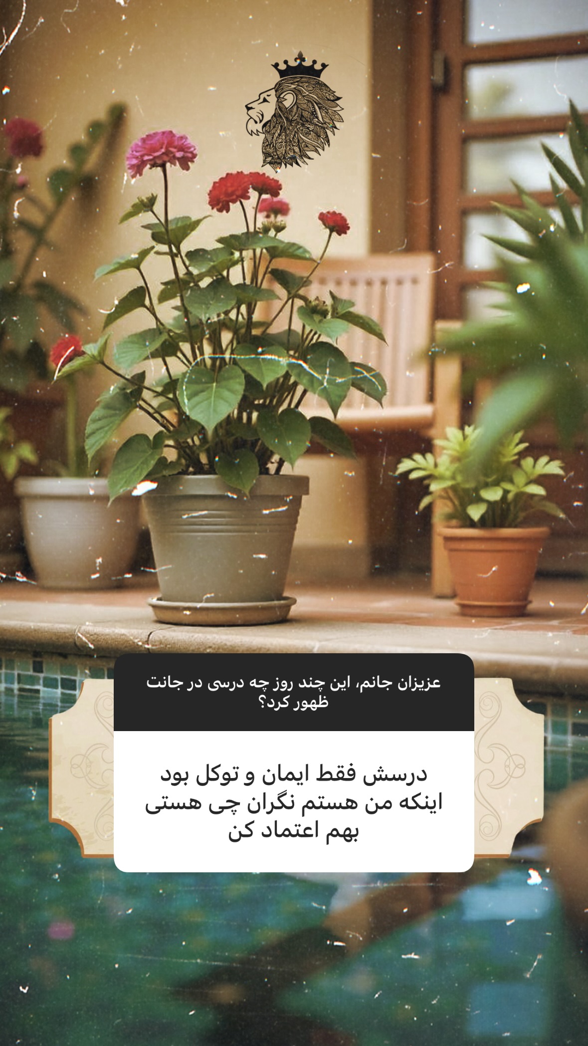  جدید ترین استوری اینستاگرام سهیل سنگرزاده