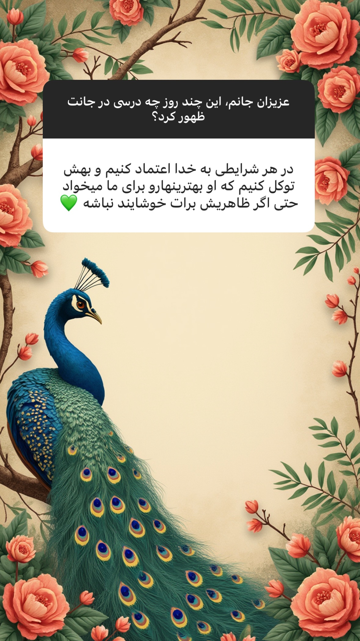  جدید ترین استوری اینستاگرام سهیل سنگرزاده