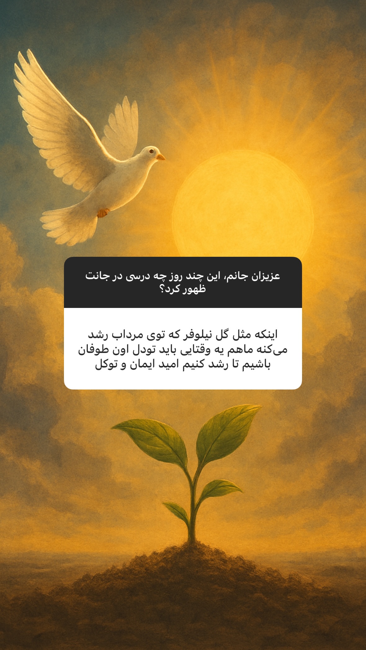  جدید ترین استوری اینستاگرام سهیل سنگرزاده
