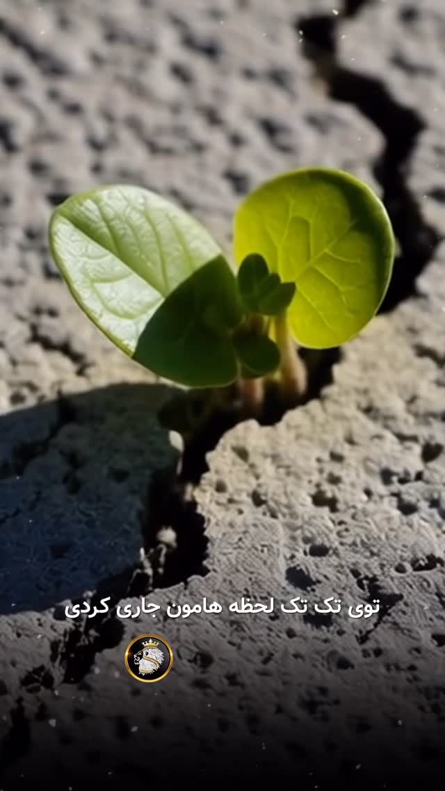  جدید ترین استوری اینستاگرام سهیل سنگرزاده