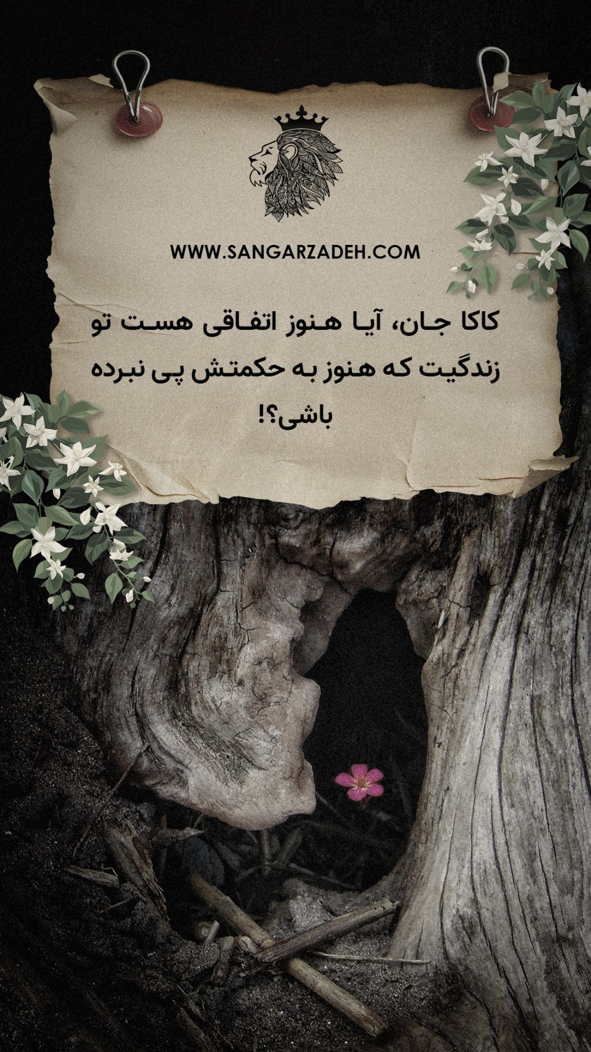  جدید ترین استوری اینستاگرام سهیل سنگرزاده