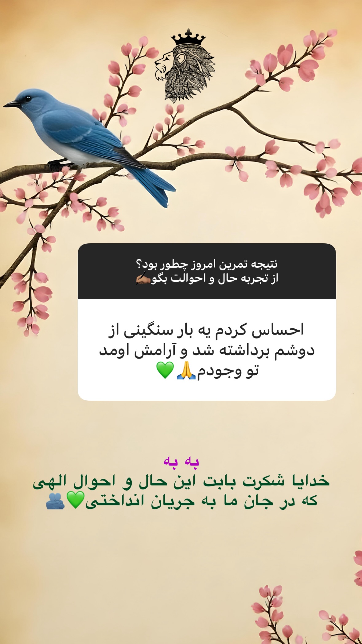  جدید ترین استوری اینستاگرام سهیل سنگرزاده