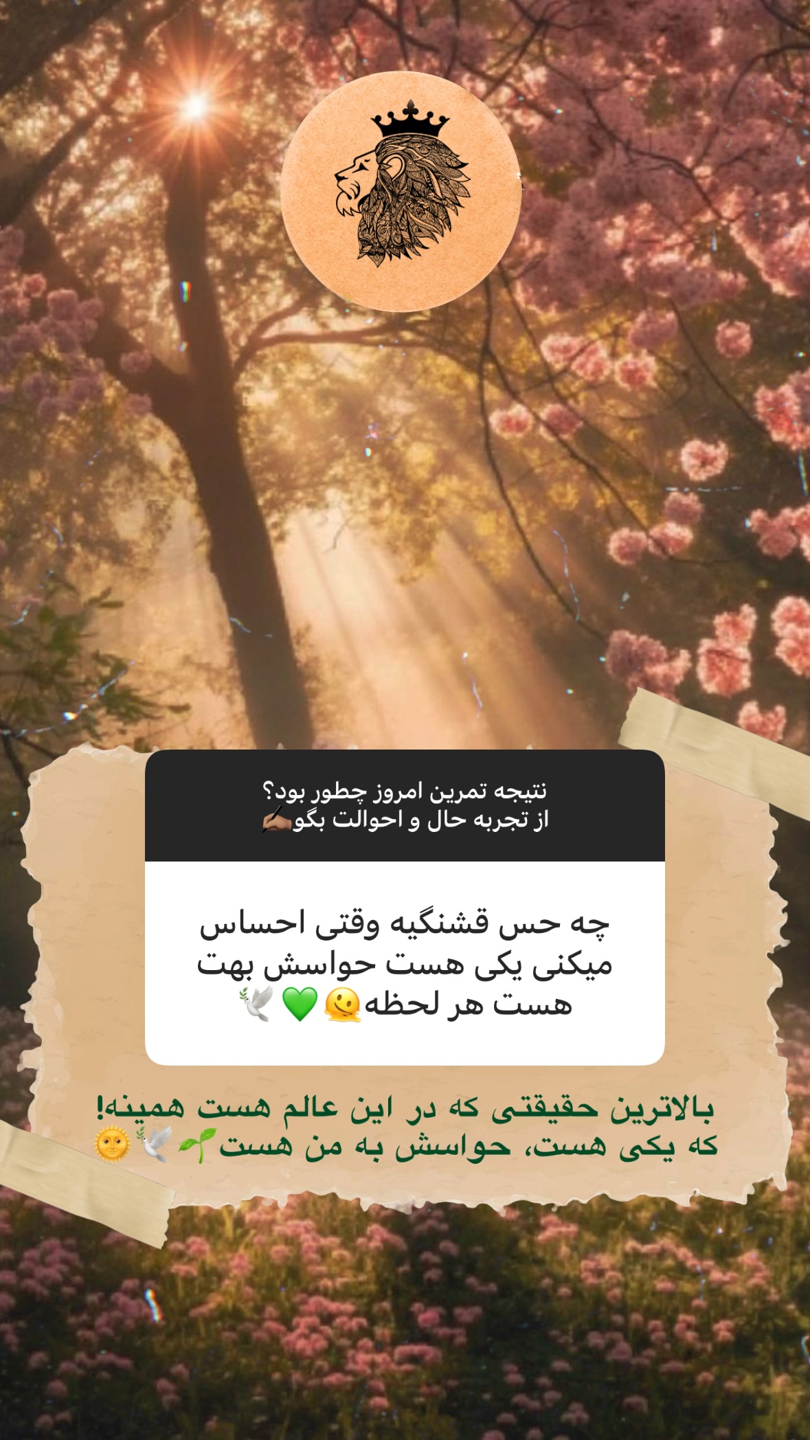  جدید ترین استوری اینستاگرام سهیل سنگرزاده