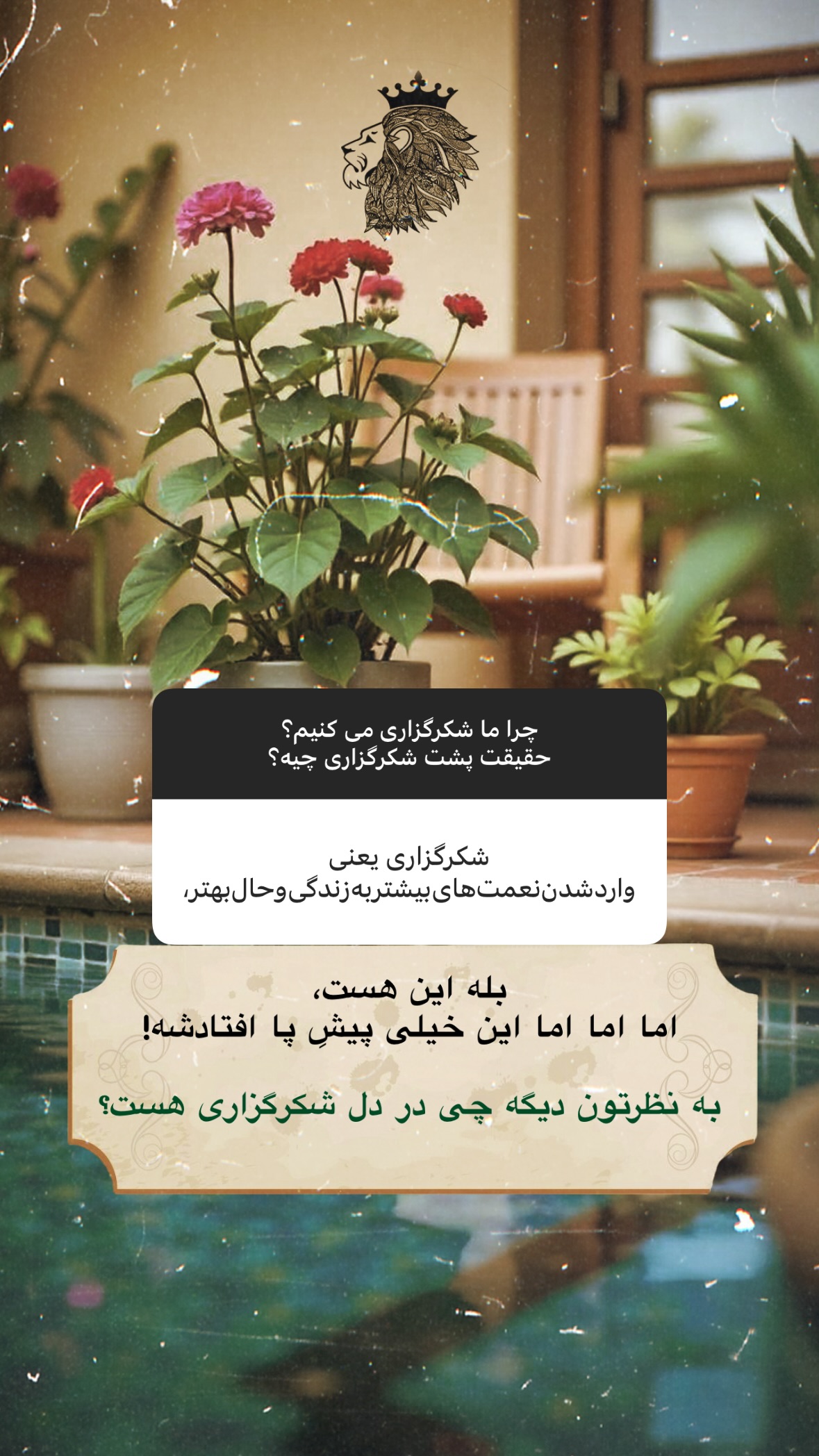  جدید ترین استوری اینستاگرام سهیل سنگرزاده