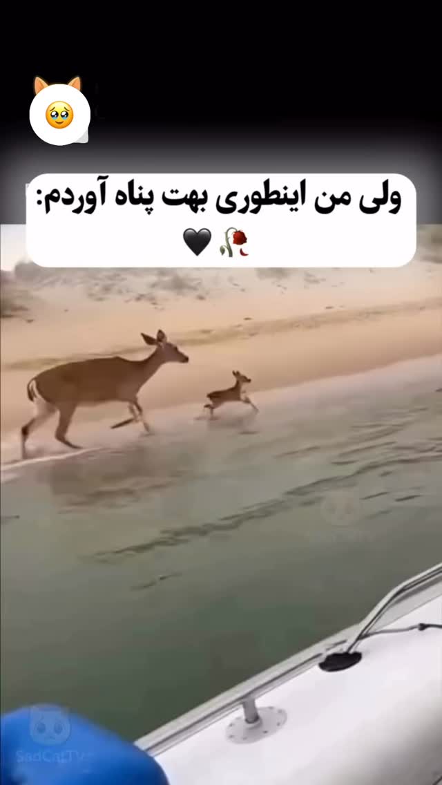  جدید ترین استوری اینستاگرام سهیل کاظمی
